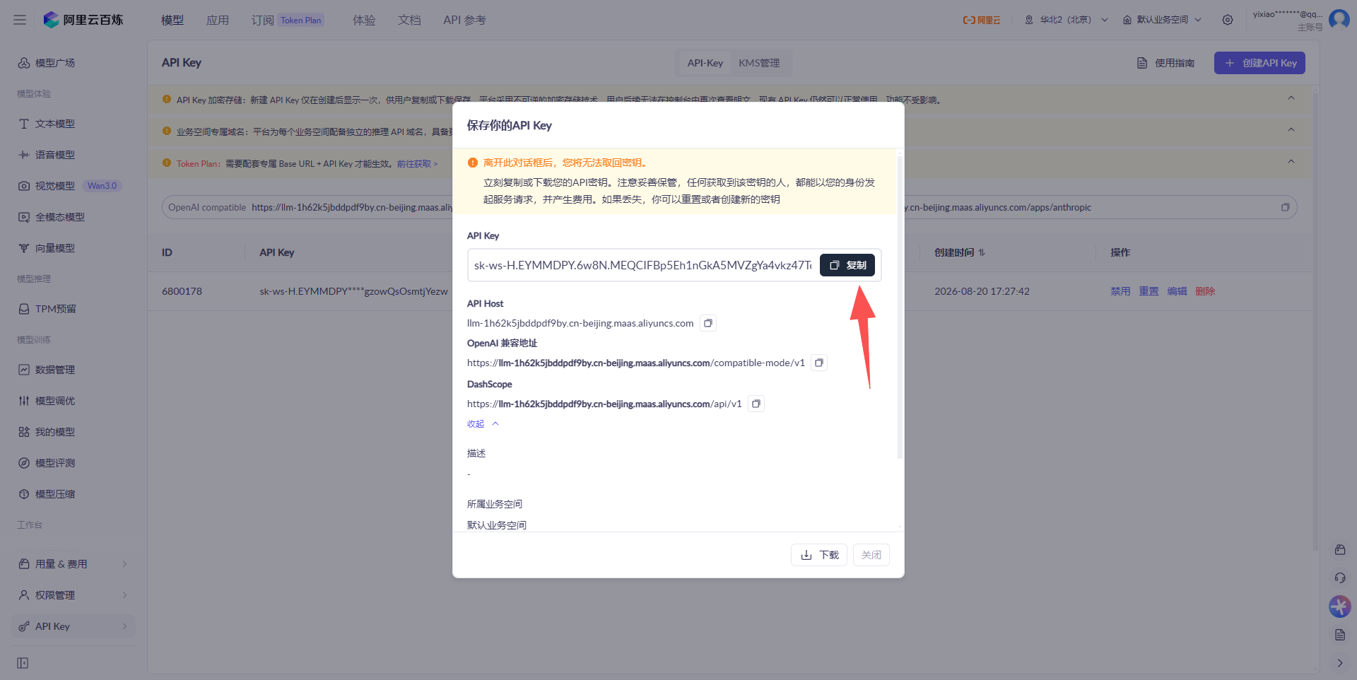 复制 API Key